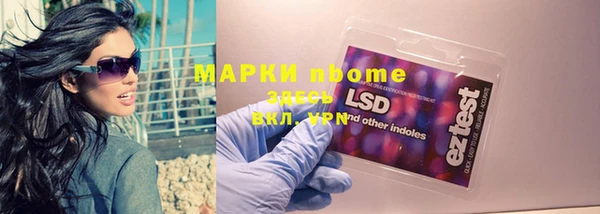 сатива Медногорск