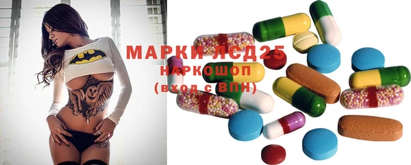 ECSTASY Медвежьегорск