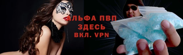 сатива Медногорск