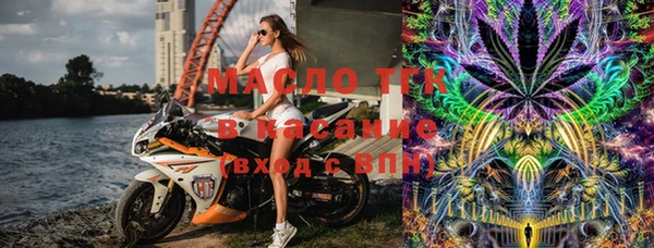 сатива Медногорск