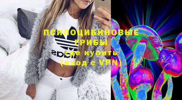 ECSTASY Медвежьегорск